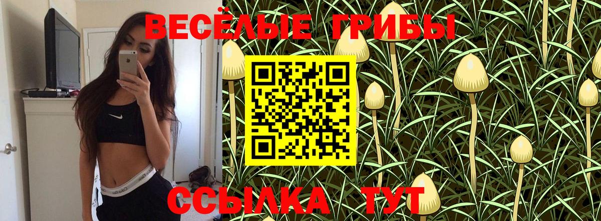 Галлюциногенные грибы мухоморы Мытищи