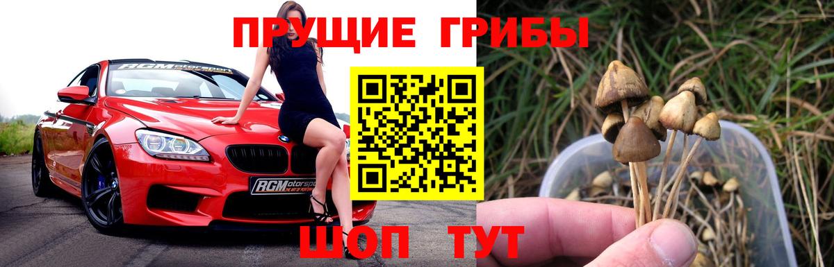 Псилоцибиновые грибы ЛСД  Псилоцибиновые грибы Psilocybine cubensis  Мытищи  Вход с VPN 